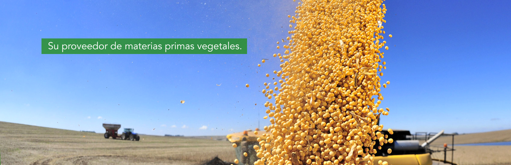 ppnor proveedor materias primas vegetales
