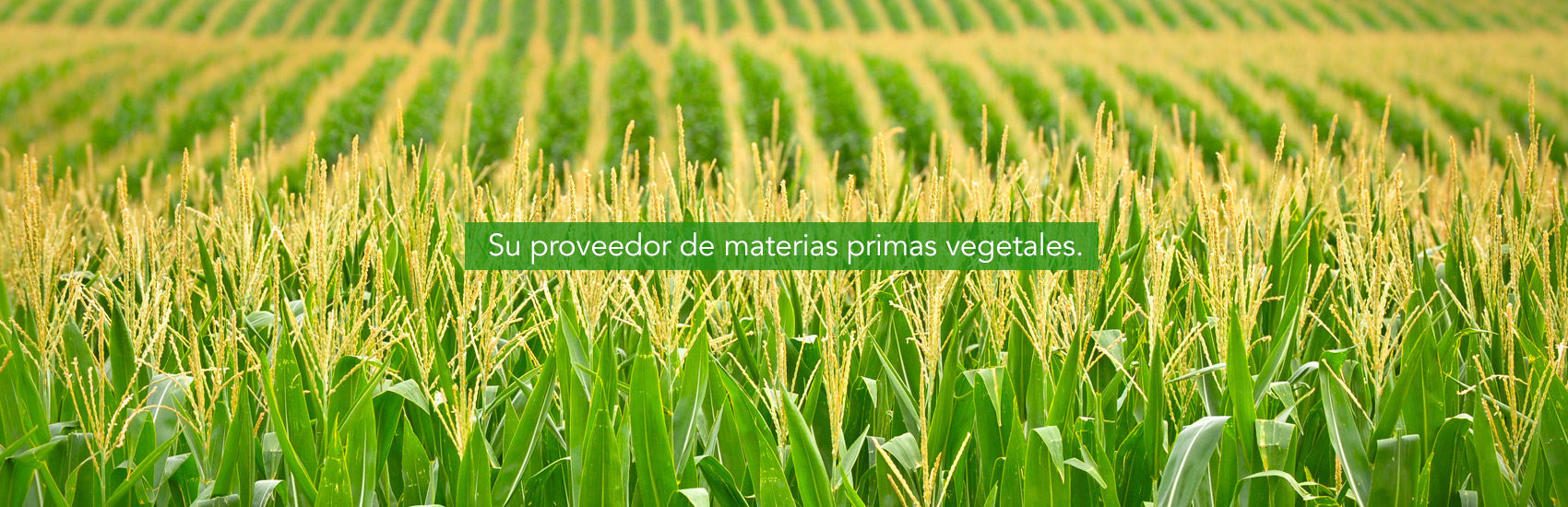 ppnor proveedor materias primas vegetales